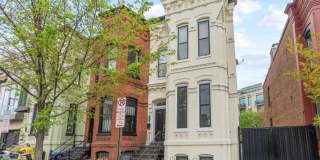 Modern Capitol Hill Location Basement Newly Renovated Unit with 1 Bedroom, 1 Bathroom, Gallery 1