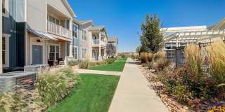 Springs at Sandstone Ranch Gallery 41