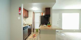 Willow Creek Gallery 24