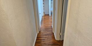 (Forest Park) WALK TO CAMPUS!!! Gallery 27