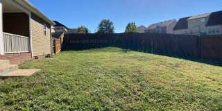 $1650 - 3 Bedroom 2 Bath Ranch Home Gallery 25