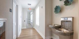 Authentix Bettendorf Gallery 50