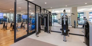 The Dalton Gallery 32