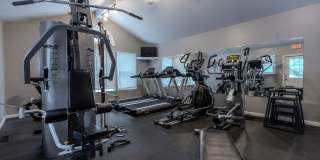 The Meadows Gallery 11