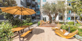 Vita Apartment Homes Gallery 34