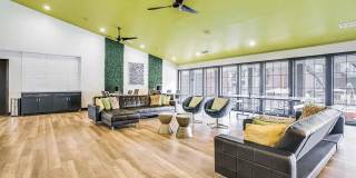 Cottonwood Dallas Gallery 2