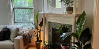 119 Antrim St Gallery 3