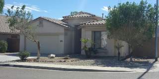 12629 W Hollyhock Drive Gallery 1