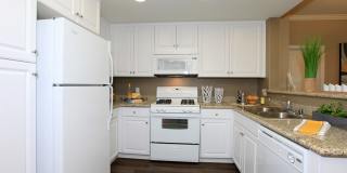 Paseos At Magnolia Luxury Apartment Homes Gallery 35