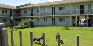 Old South Apartments Gallery 8