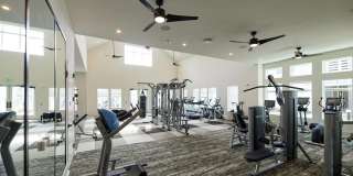 The Stead at Farmington Gallery 52