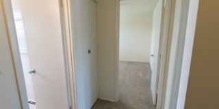 Lake of the Woods Gallery 29