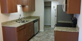 Jackson Square Gallery 1