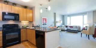 The Grand Gallery 17