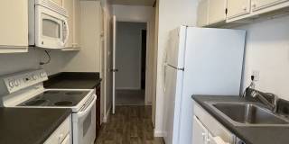 1081 Beach Park Blvd #211 Gallery 1