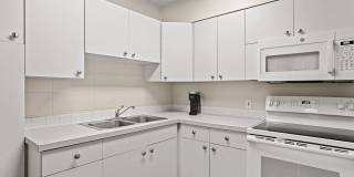 Bears Village Gallery 26