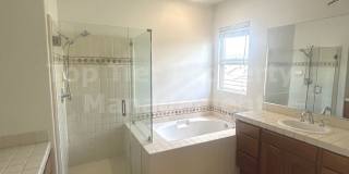 ***Gorgeous 4 bed / 3 bath / 2,585 sqft House in Calavera Hills - Available 07/01*** Gallery 20