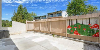 2225 Vista Del Sol Gallery 4