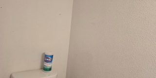 Spacious 4BR House in Cornelius Gallery 20