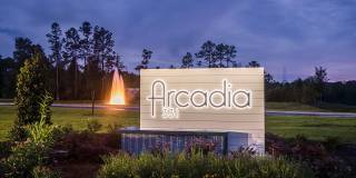 Arcadia 331 Gallery 49
