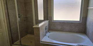 2738 Cinnamon Teal Gallery 11