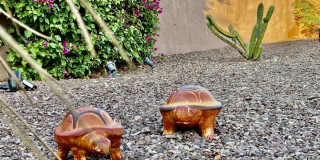 43622 Warner Trail Gallery 45