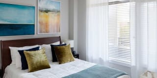 Avalon 555 President Gallery 19