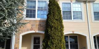 3 Bedroom Townhome for Rent in Waynesboro Gallery 1
