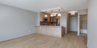 1550 N Lake Shore Drive Gallery 3