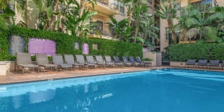 The Orsini Gallery 18