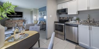 Hamilton Point on Egypt Lake Gallery 11