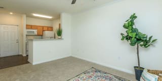 Whisper Creek Gallery 46