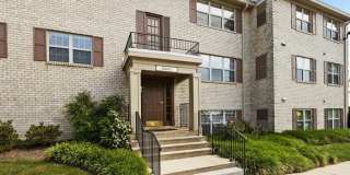 Stevens Walk Gallery 3