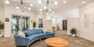 Arrive Chadds Ford Gallery 21