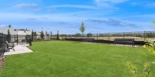 Ascend Crossroads Gallery 36