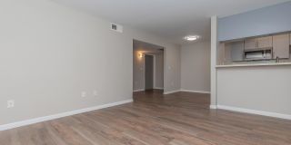 The Hazelwood Gallery 73