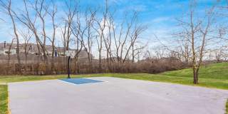 Sterling Place Gallery 23