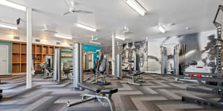 Whitewater Park Gallery 41