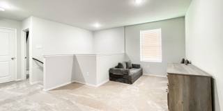 156 Dotty Lou Gallery 38