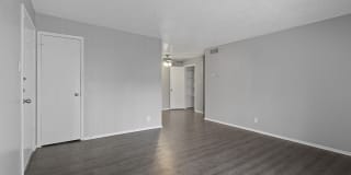 Maverick on Gilmer Gallery 48