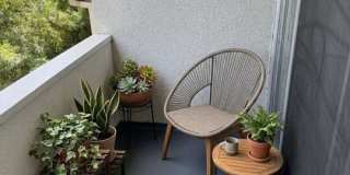 1138 11TH St Gallery 2