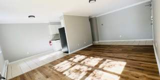 14 Windsor Terrace Gallery 8