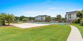 Golf Paradise Gallery 51