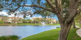 Kitterman Woods Gallery 13