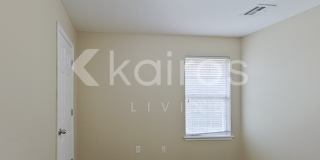 4209 Snowy Owl Drive Gallery 9