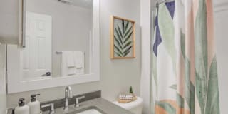 Avana Stoney Ridge Gallery 4