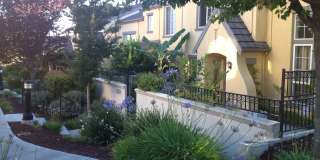 3156 Ledoux Court Gallery 1