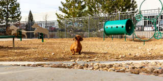 Cortland Flatirons Gallery 29