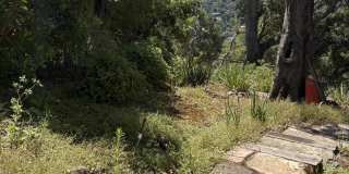 39 Orinda View Gallery 13
