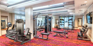 Cortland Biltmore Gallery 17